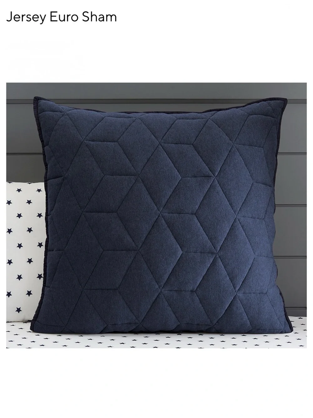 POTTERY BARN KIDS navy blue Euro Sham & Quilt NEW